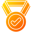 successful implementation medal icon